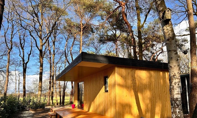 Zuidwolde Cabina | Barber houses in a wooded area