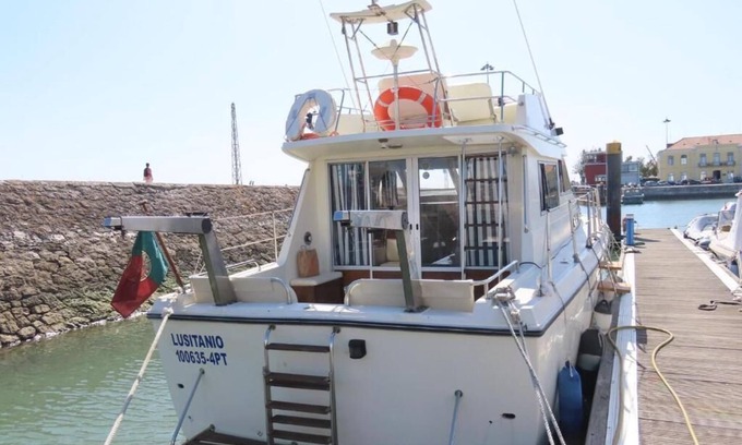 Parque das Nacoes Alquiler De Eote | Barco Lusitano Lisboa, Parque das Nacoes