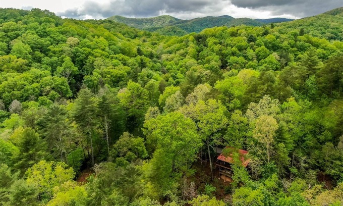 Blue Ridge Cabina | Bare Bear | Cherry Log, Ga