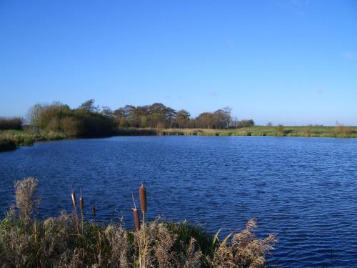 Woodmansey Complejo | Barmston Farm