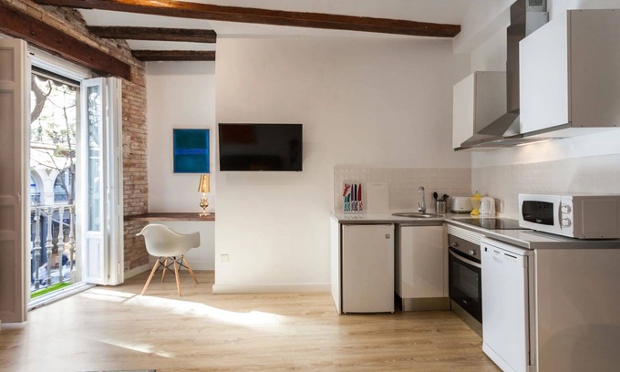 Ciutat Vella Apartamento | Baron Reina 1 - Plaza de la Reina