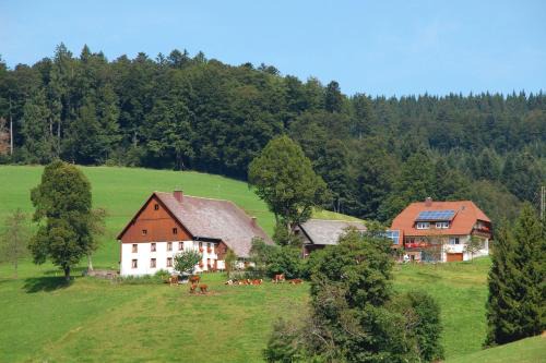 Sankt Peter Casa | Baschijörgenhof