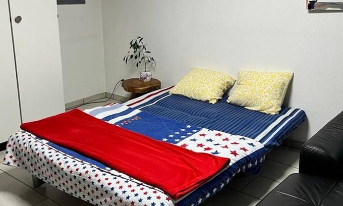 Muttenz Apartamento | Basel - 5 mins away - Modern Basement Studio with Kitchen 35m2 in Muttenz