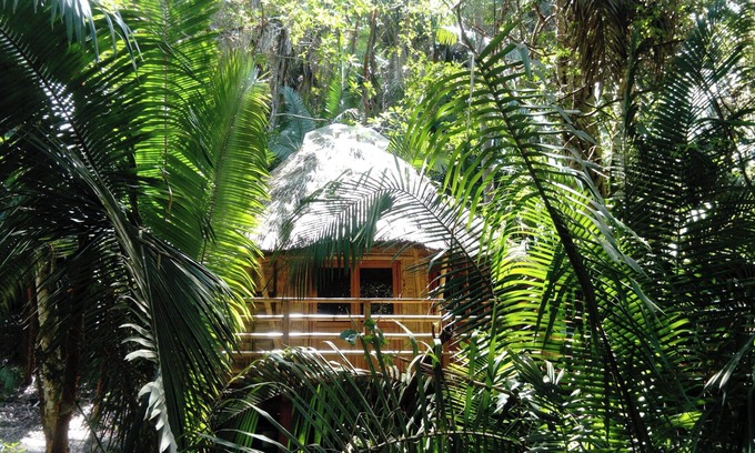 San Francisco Cabina | Basil Cabin 2. Romantic Ecolodge in the jungle by the sea