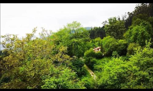 Sopuerta Chalet De Esquí | Basoan etxea