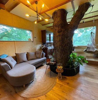 Borstel Cama Y Desayuno | Baumhaus Beletage