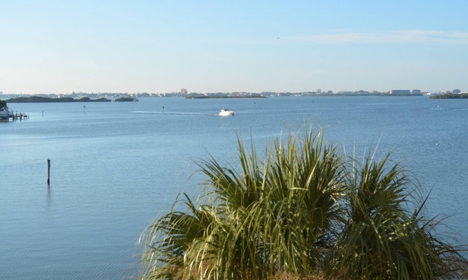 St. Petersburg - Clearwater Condominio | Condominio frente al mar en Boca Ciega Bay # 213