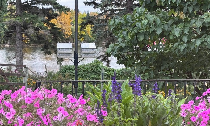 Killarney Casa | Bayside home with birds, butterflies, deer, and gardens