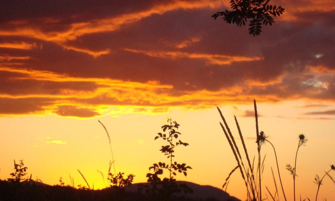 Courtenay Cabina | Beach Bum Cabin with awesome water views, sunsets and bird watching.