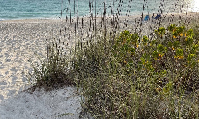 Whitney Beach Casa | Beach Cottage with a Private Hot Tub