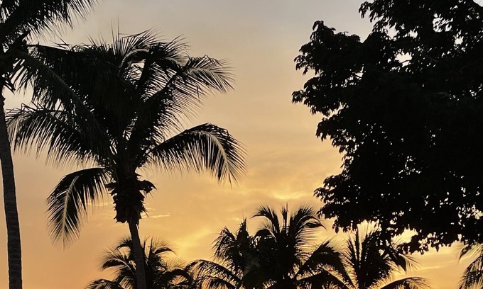 Agricola Oriental Condominio | Beach Front Condo, Diver's Dream
