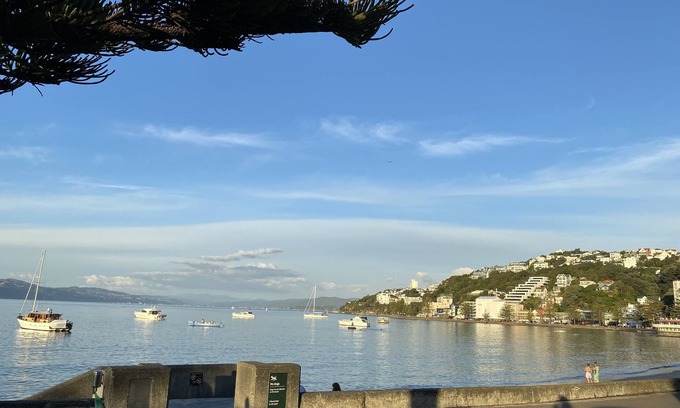 Oriental Bay Casa | Beach house in Oriental Parade