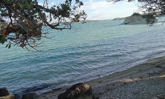 Parua Bay Casa | Beach House with Amazing Views