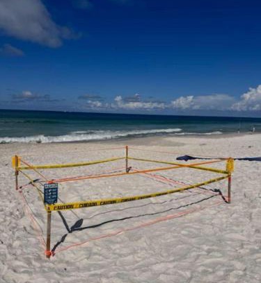 Biltmore Beach Casa | Beachcomber - Beachfront With Pool And Hot Tub - On The Beach!