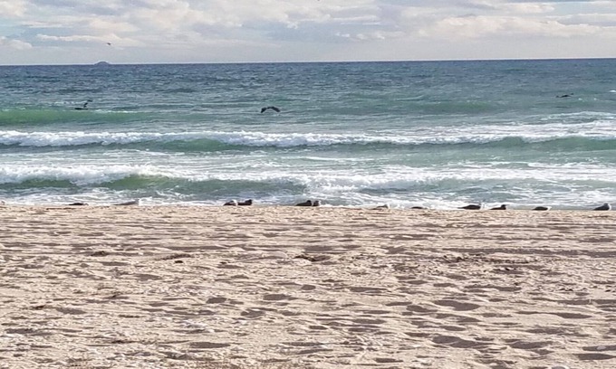 Puerto Penasco Casa | FRENTE AL MAR 3 BDRM 3 BAÑOS ADOSADO. EN CAMAS-8 +. ACTUALIZADO. TARIFAS ESPECIALES LLAME A KIM
