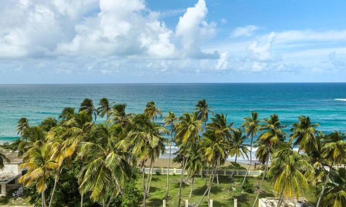 Bajura Apartamento | Beachfront- Angelica Paradise!