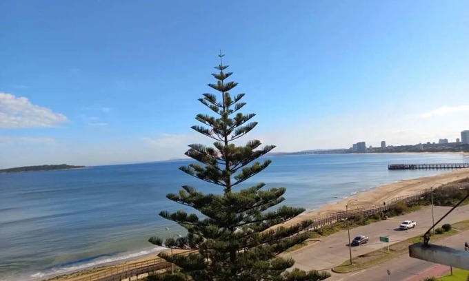 Punta del Este Apartamento | Departamento frente al mar en punta del este