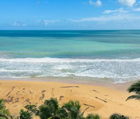 La Pared Apartamento | Beachfront Apartment in Luquillo at Sandy Hills