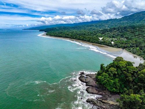 Dominical Apartamento | Beachfront Jungle Luxury! 3BD Penthouse Uvita