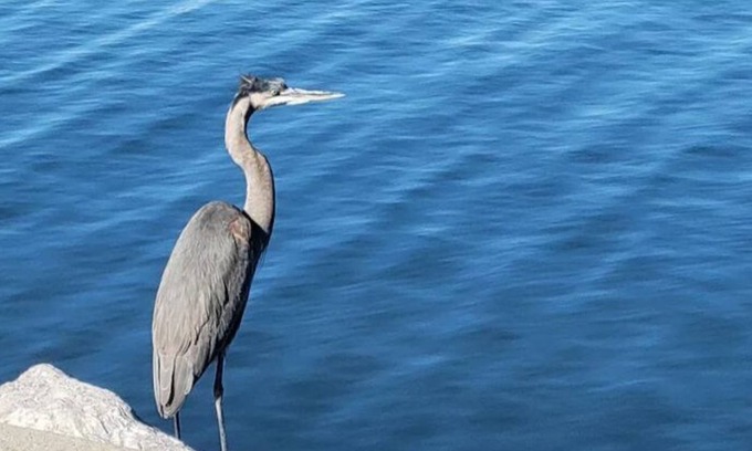 Gulfport Casa | Beachstay Hideaway