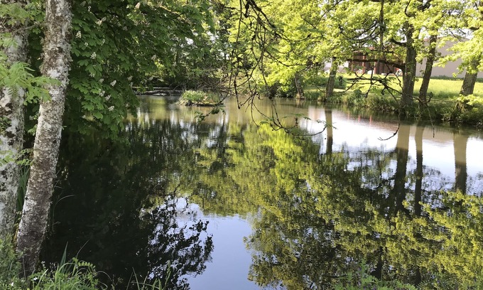 Saint-Sauveur-en-Puisaye Otro | Hermosa casa en el bosque en senderos Colette