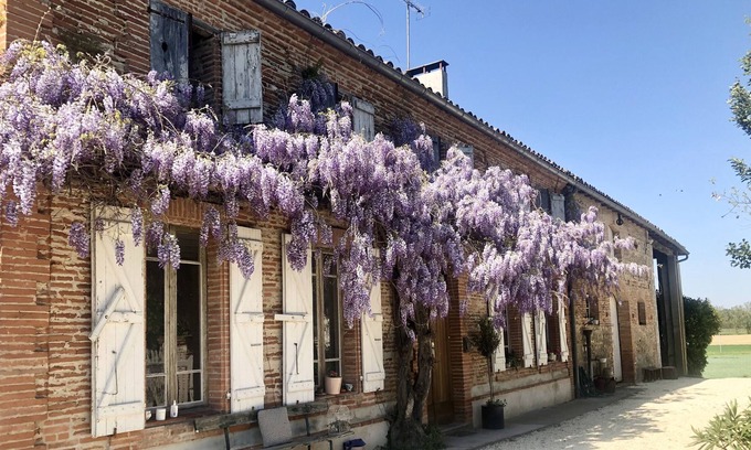 Castelferrus Casa | Beautiful 6 Bedroom Farm House in Castelferrus