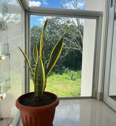 Cacatachi Apartamento | Beautiful Apartment in Tarapoto