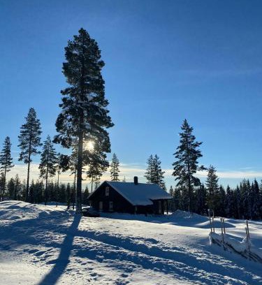 Amot Casa | Beautiful Forest Cabin Near Ski Trails