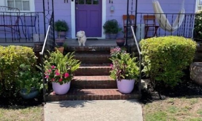 Charleston Casa | Beautiful home away from home in downtown Charleston.