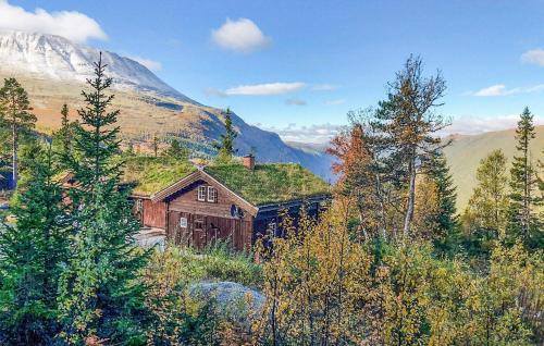 Atra Casa | Beautiful Home In Rjukan With Wifi