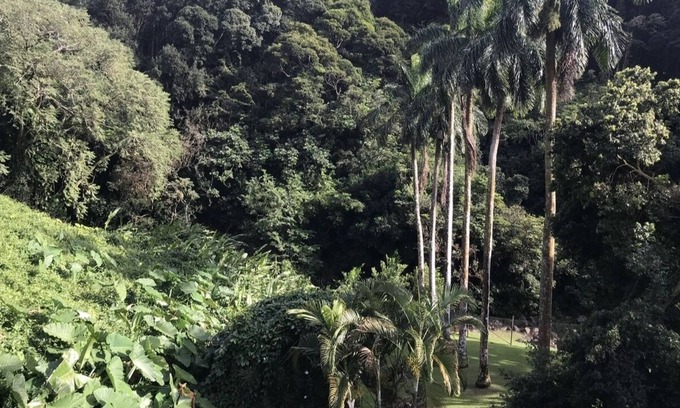 Nuuanu - Punchbowl Casa | Beautiful home in the rainforest near Honolulu