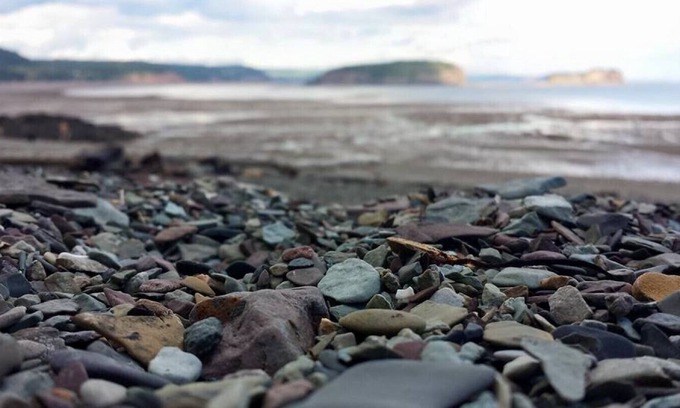 Parrsboro Cabaña | Hermosa cabaña con vista al mar