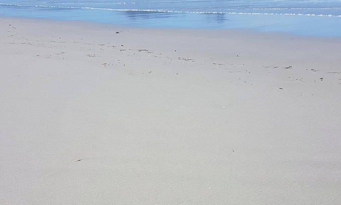 Ruakaka Casa | Beautiful Ruakaka beach fun, lots of space, 2 lounges, big garden