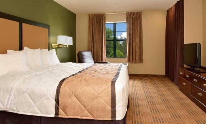 Temple Terrace Apartamento | Beautiful Studio apartment (425985) by Houzlet
