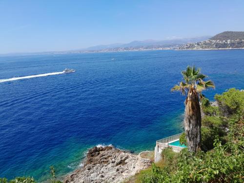 Saint-Jean-Cap-Ferrat Apartamento | Beauty