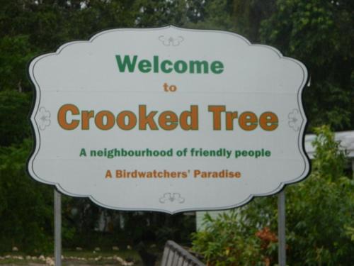 Crooked Tree Cama Y Desayuno | Becks Bed & Breakfast