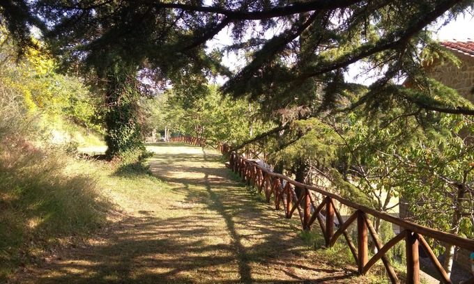 Arezzo Cama Y Desayuno | Bed and Breakfast Country Hill