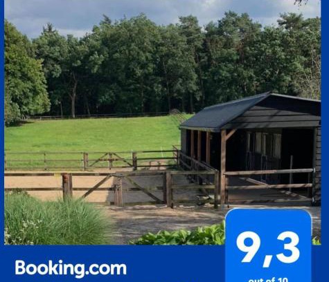 Bosgebied Hoenderloo Cama Y Desayuno | Bed and Breakfast De Paalberg