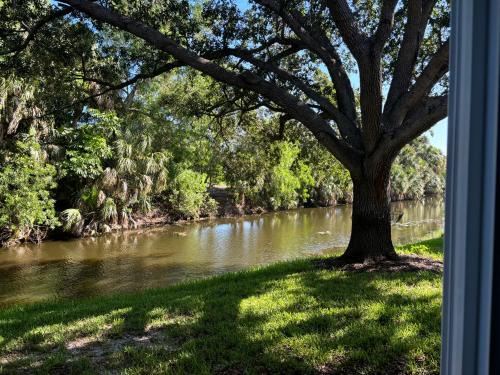 Palm River Estates Cama Y Desayuno | Bed and Breakfast in North Naples