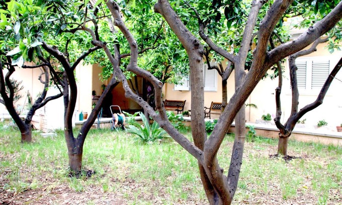 San Donaci Cama Y Desayuno | Bed and Breakfast L'Aranceto