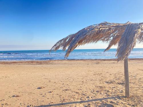 Porto Palo Apartamento | Beddaammari