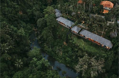 Kemenuh Villa | Bedulu Cliff Estate Ubud - Tree Top