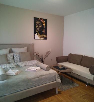 Vozdovac Apartamento | Belimedik