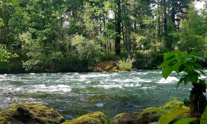 Blue River Casa | Belknap House on the McKenzie River