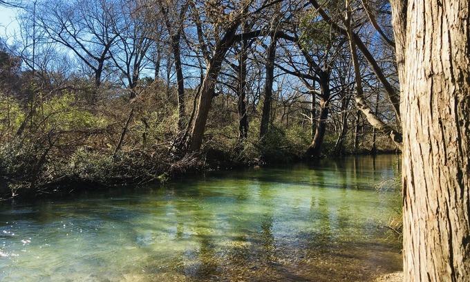 Wimberley Cabaña | Bella Rosa Cottage! ¡Pasea por Wimberely Square! Cypress Creek a solo unos pasos