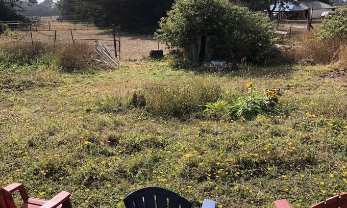 Fort Bragg Cabaña | Beloved, Cozy Artist's Cottage One Mile From Sea