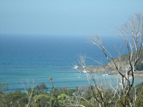 Scotts Head Apartamento | Benji's By The Sea