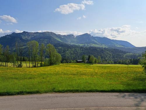 Sibratsgfaell Apartamento | Bereuter
