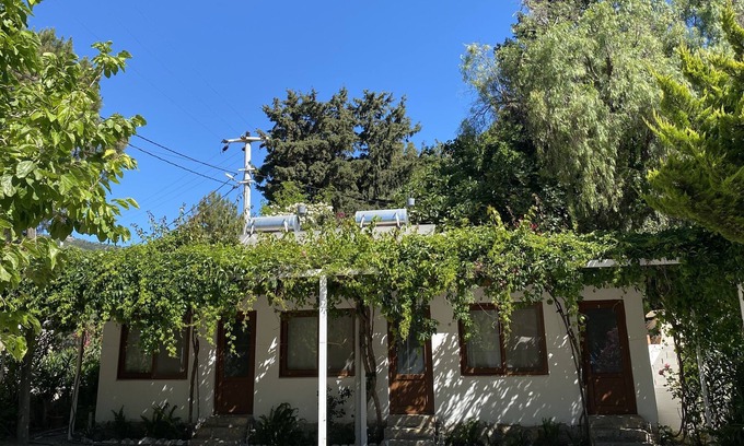 Hayitbuku Casa | Berke Cafe&Pansiyon
