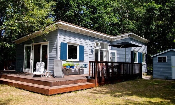 Nieuw-Haamstede Chalet De Esquí | Berkenpad 5 comfortable holiday cottage in nature